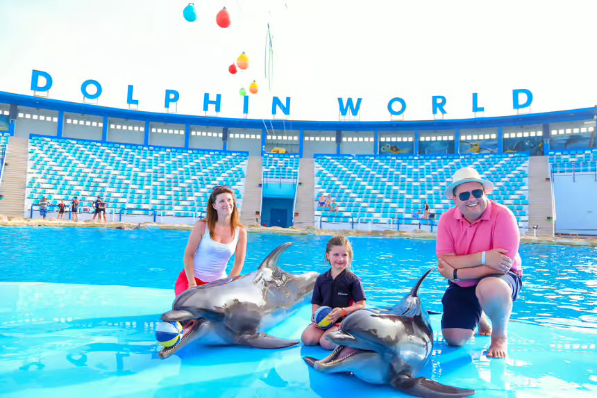 Hurghada Dolphin World Show with Walrus & Sea Lions