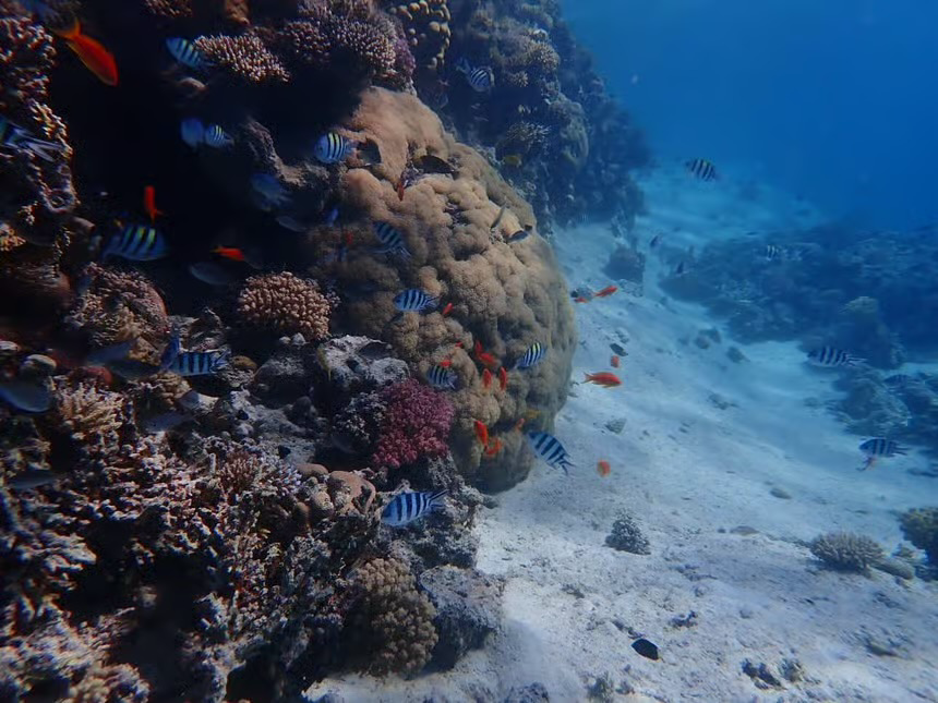 Hurghada Magawish Island Boat Trip & Snorkeling