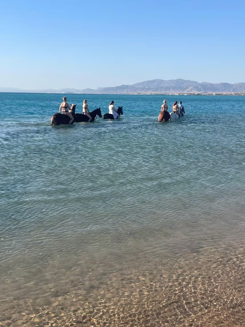 Hurghada Red Sea Horse Riding Beach & Desert Tour