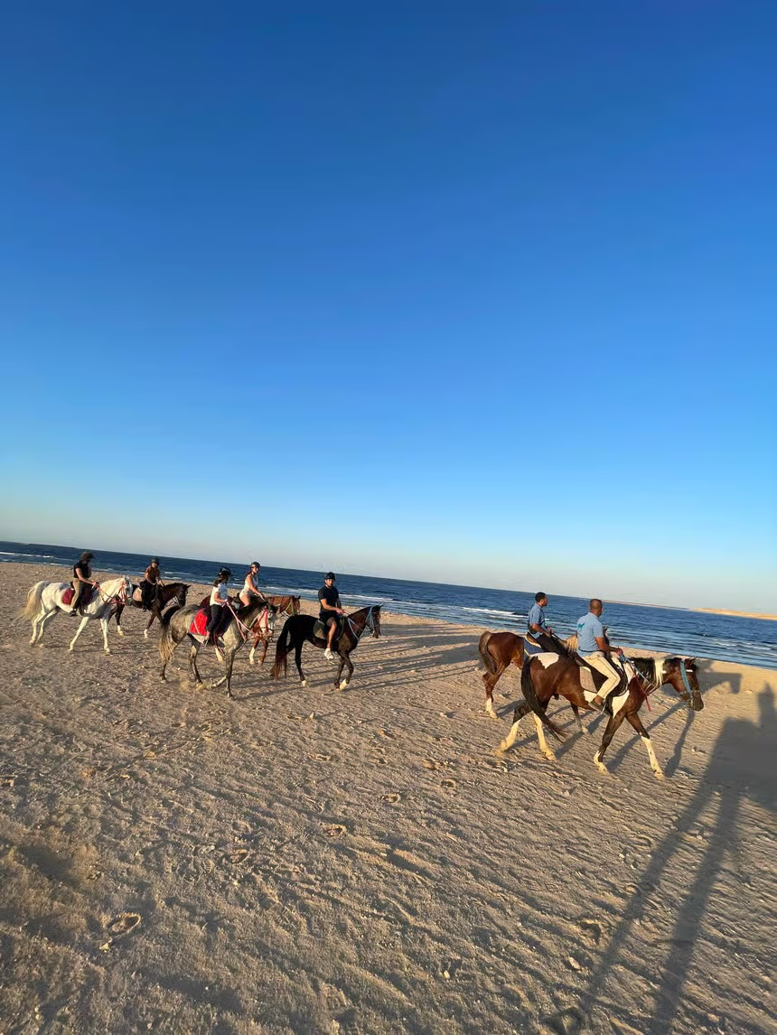 Hurghada Red Sea Horse Riding Beach & Desert Tour