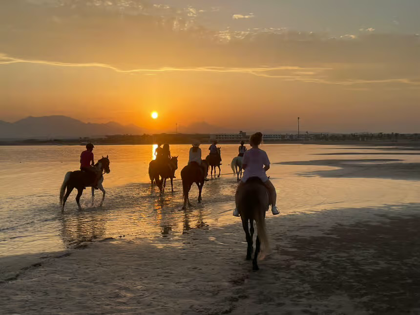 Hurghada Red Sea Horse Riding Beach & Desert Tour