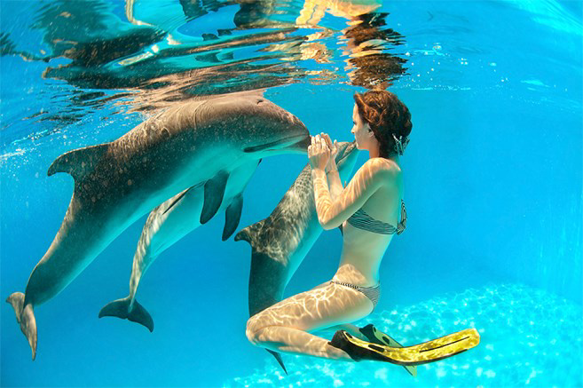 Hurghada Swim with Dolphins at Dolphina Park