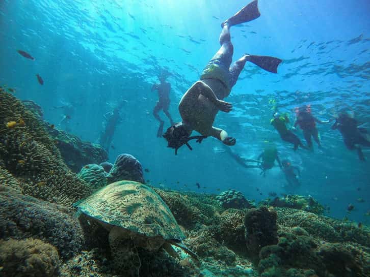 Ras Mohammed & White Island Boat Trip