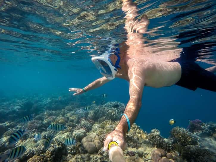 Ras Mohammed & White Island Boat Trip