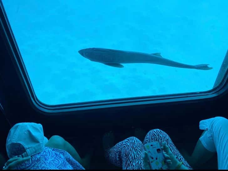 Seascope Submarine Boat Cruise