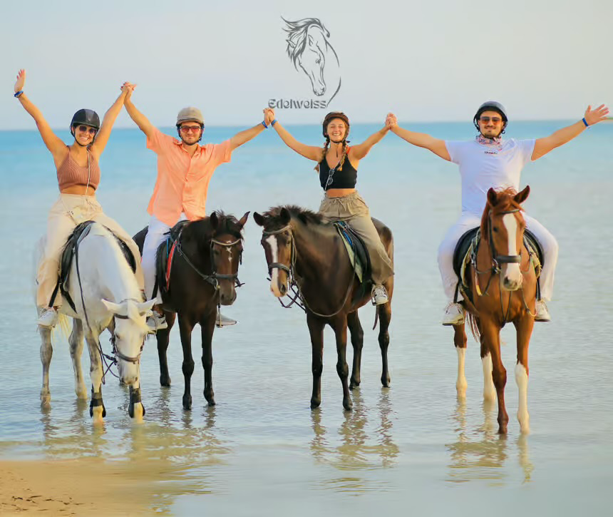Desert Horse Riding Beach Red Sea Sharm El Sheikh