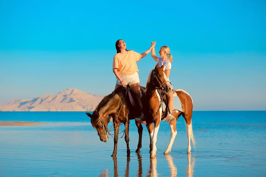 Desert Horse Riding Beach Red Sea Sharm El Sheikh