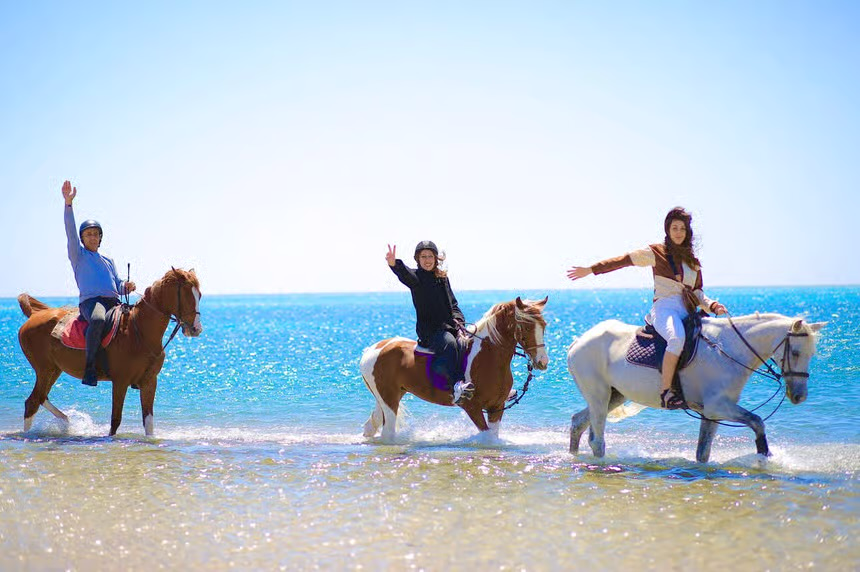 Desert Horse Riding Beach Red Sea Sharm El Sheikh