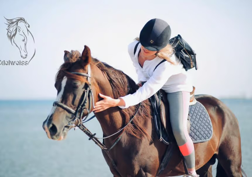 Desert Horse Riding Beach Red Sea Sharm El Sheikh