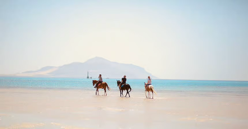 Beach & Desert Horse Riding Tour