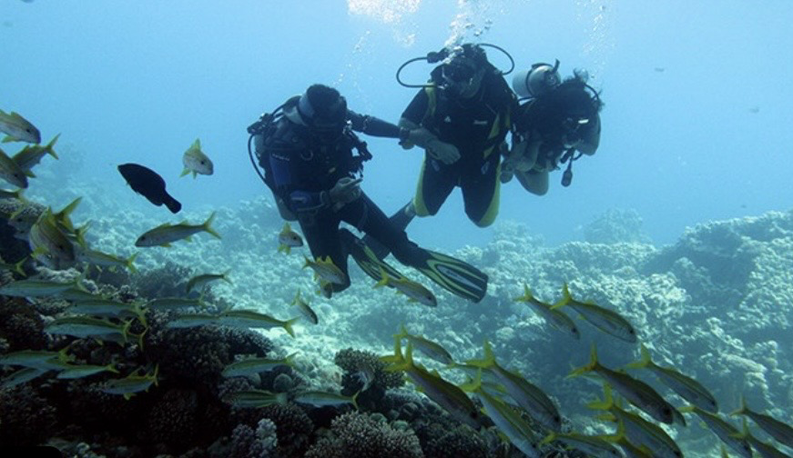 Sharm El Sheikh Beginner Beach Scuba Dive