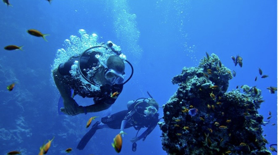 Sharm El Sheikh Beginner Beach Scuba Dive