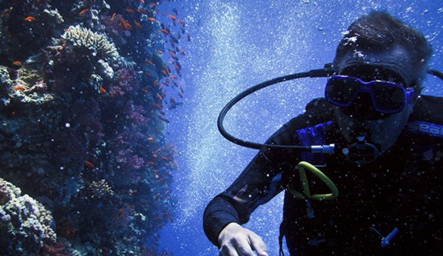 Sharm El Sheikh Beginner Beach Scuba Dive