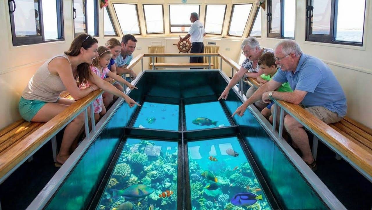 Glass Bottom Boat Tour