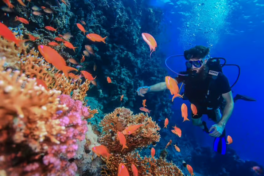 Tiran Island Snorkeling Cruise Sharm El Sheikh